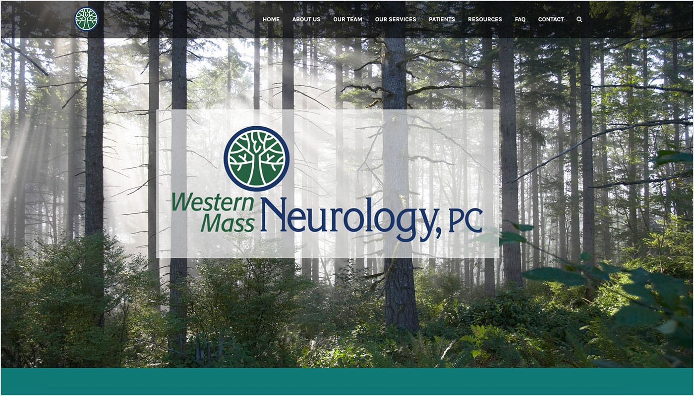 Western Mass Neurology website, website design company Massachusetts, web design company CT, creative agency, digital advertising